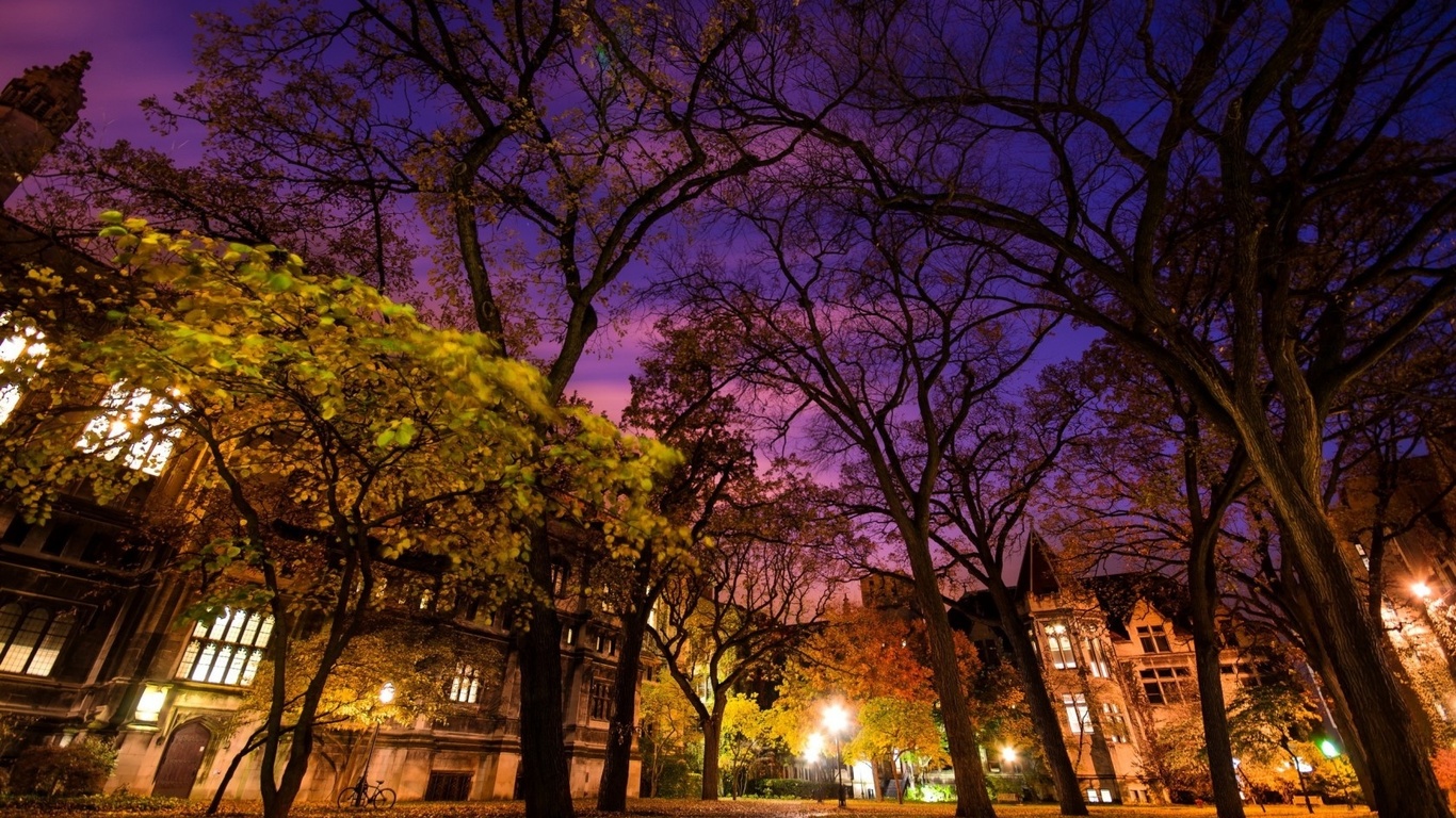 chicago, illinois, united states, jackson park terrace