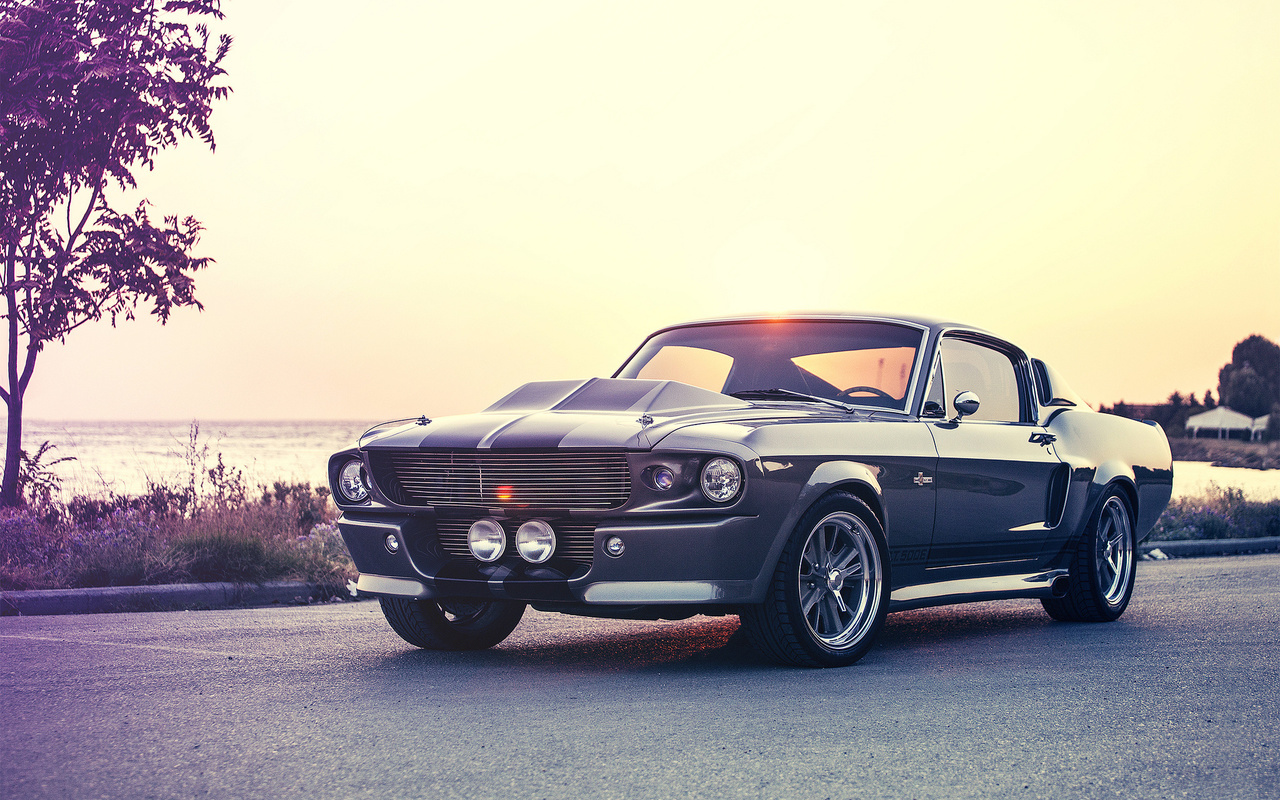 mustang, gt500e, giannes kokkas photography, shelby, eleanor, ford