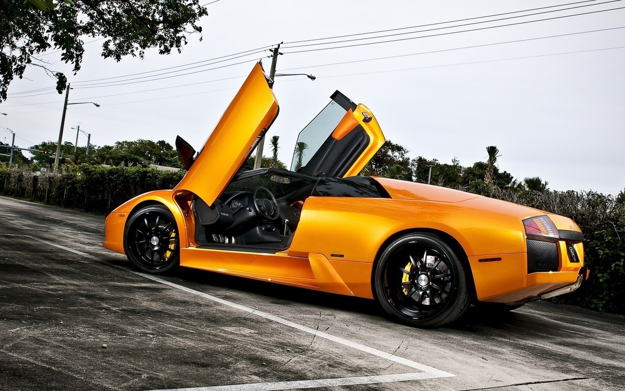 lamborgini, murcielago, , , , , 