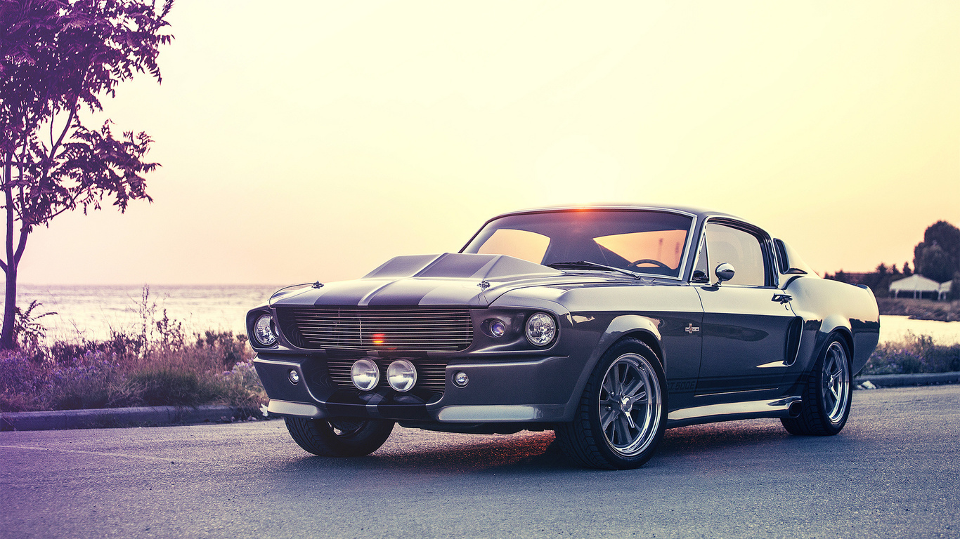 mustang, gt500e, giannes kokkas photography, shelby, eleanor, ford