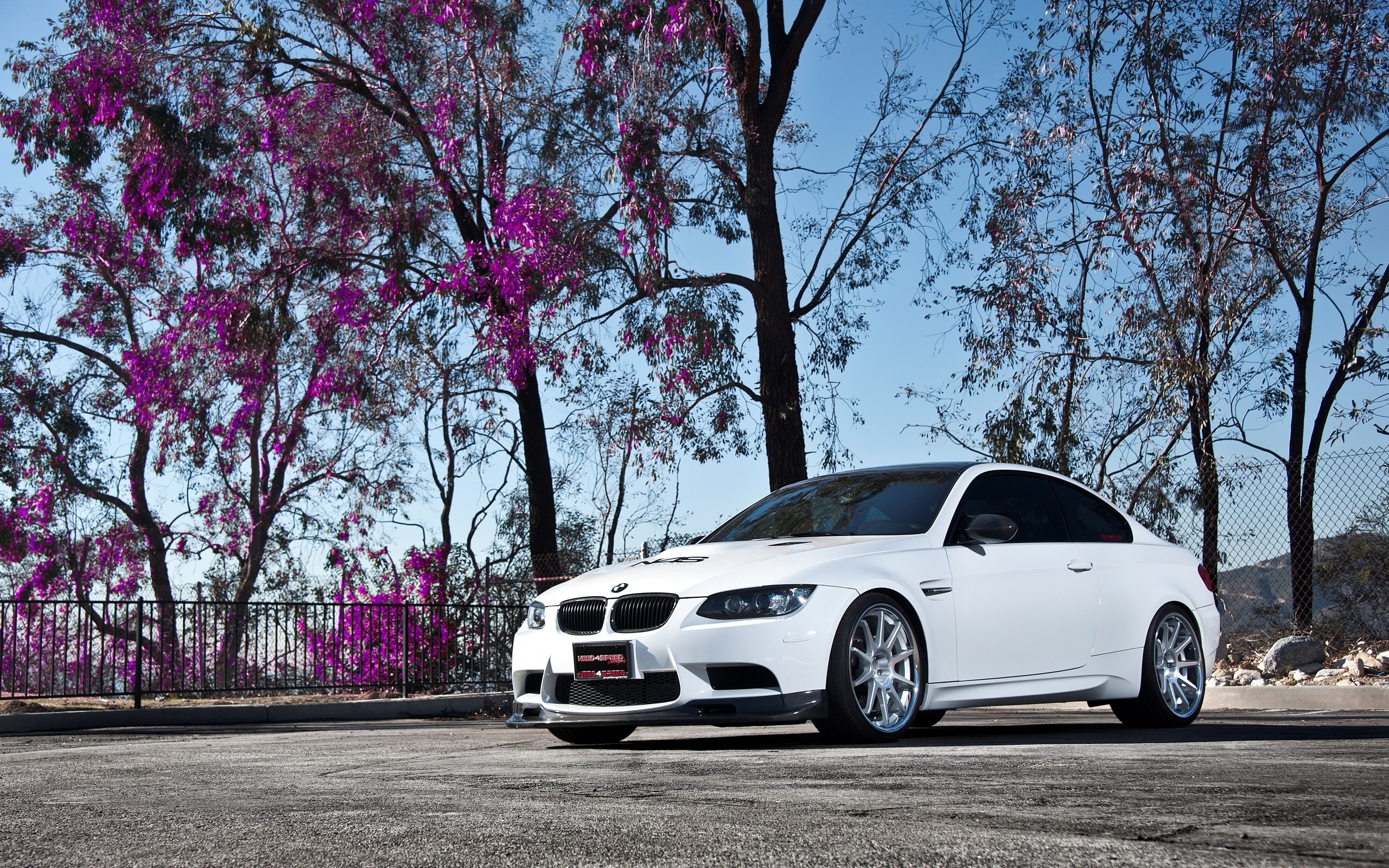 wheels, , , Bmw, , white, , m3, tree, e92