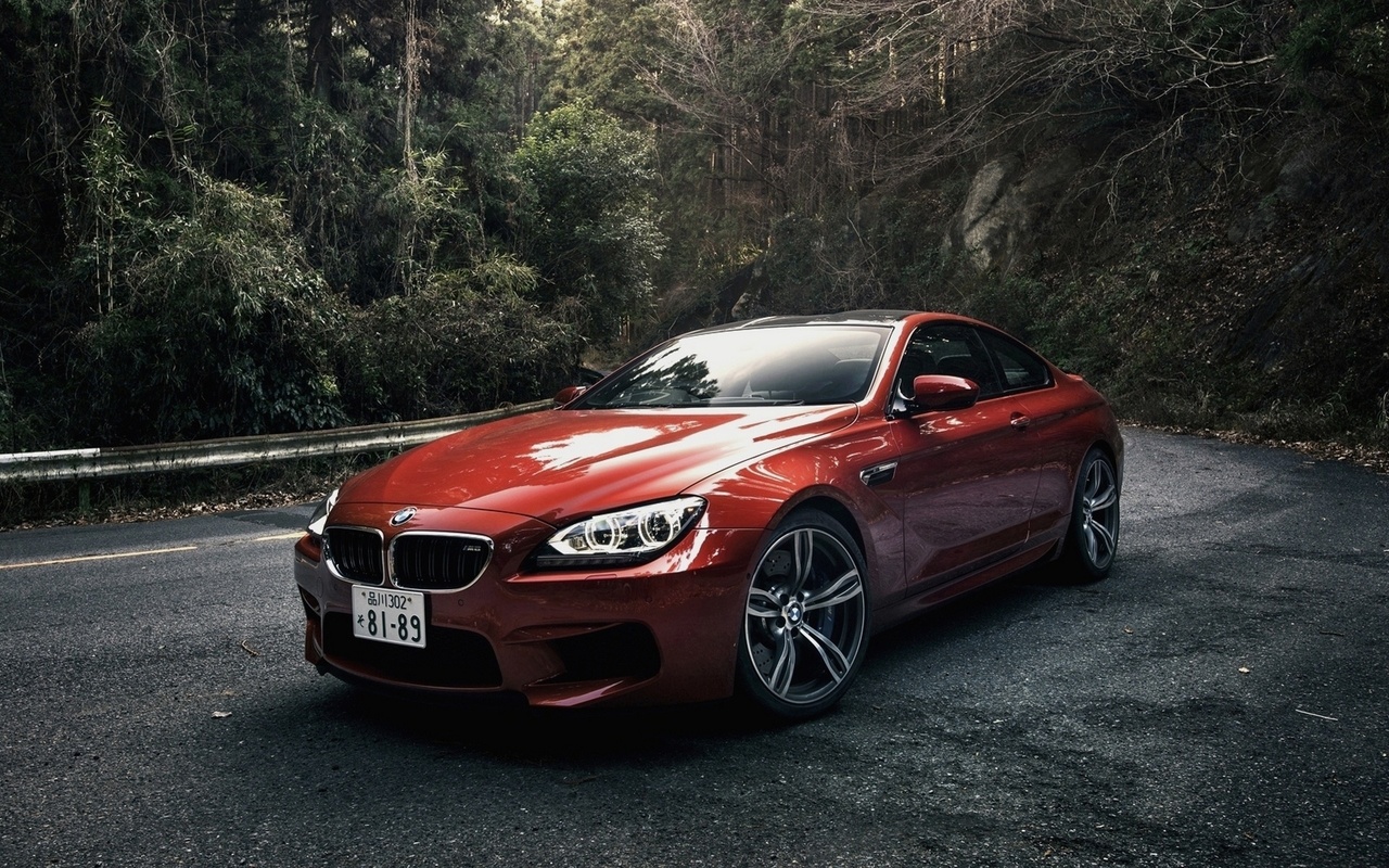 Картинки bmw, m6, coupe, japan spec, orange, бмв, м6, купе, оранжевая,  машина, лес - обои 1280x800, картинка №44456