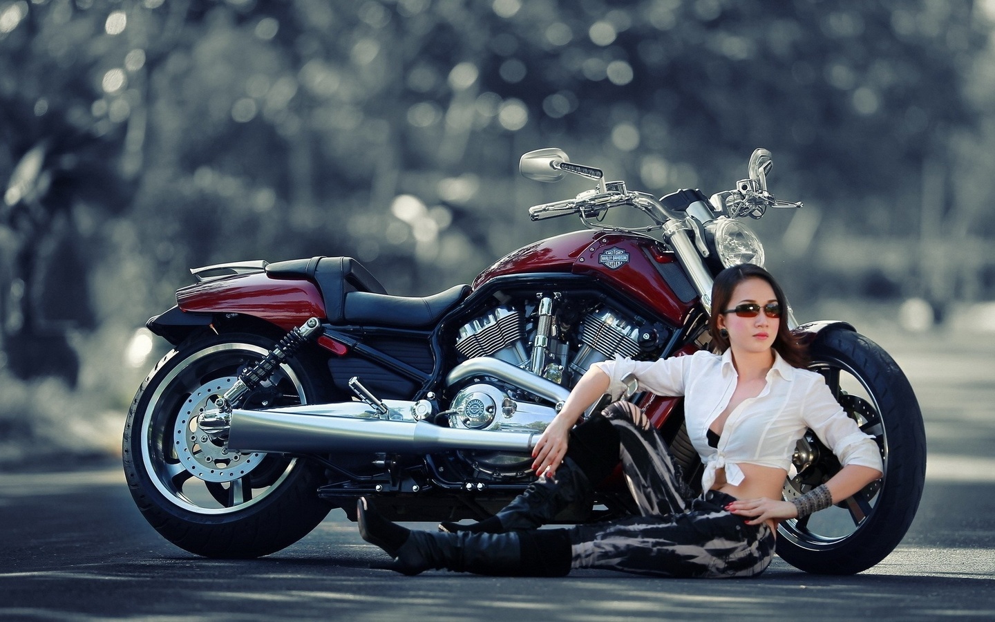 , , harley-devidson, harley-davidson, h-d, v-rod, ,   