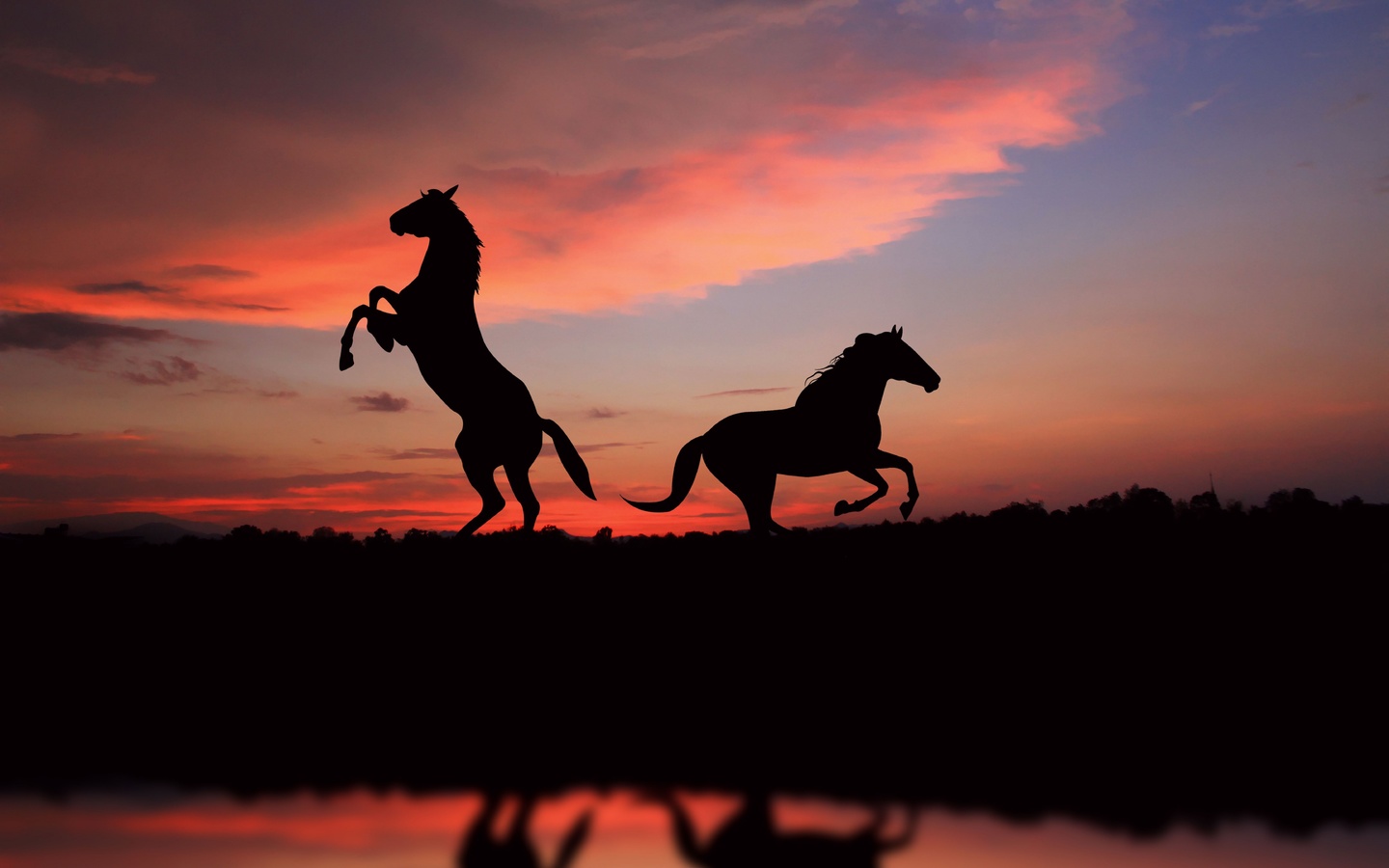 , view, great, picture, , Silhouette, , horses, sunset