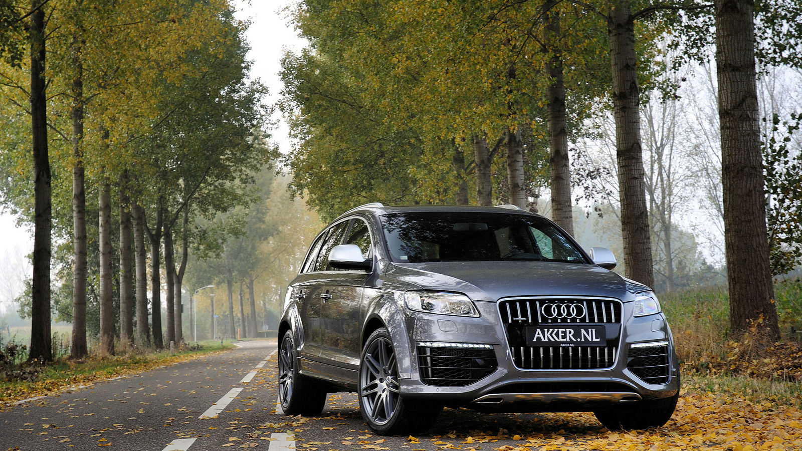 jeep, grey, metallic, q7, , audi, 