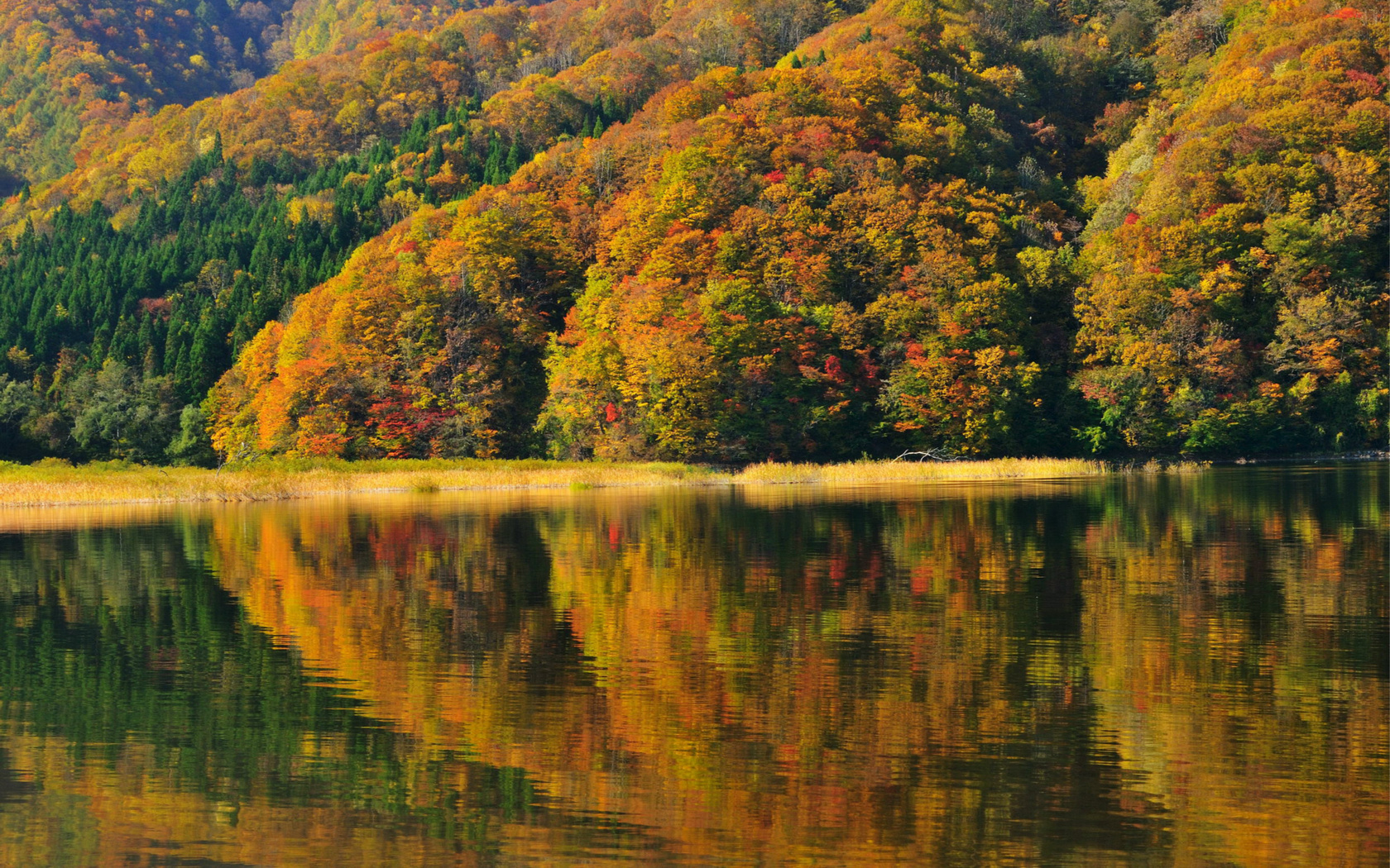 fukushima, ,  , autumn, , lake akimoto, Japan