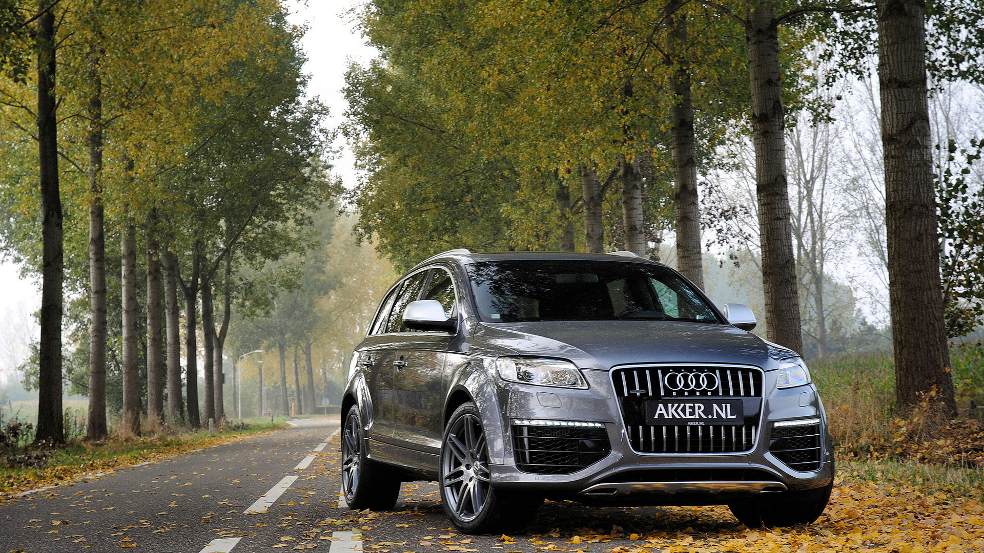 jeep, grey, metallic, q7, , audi, 