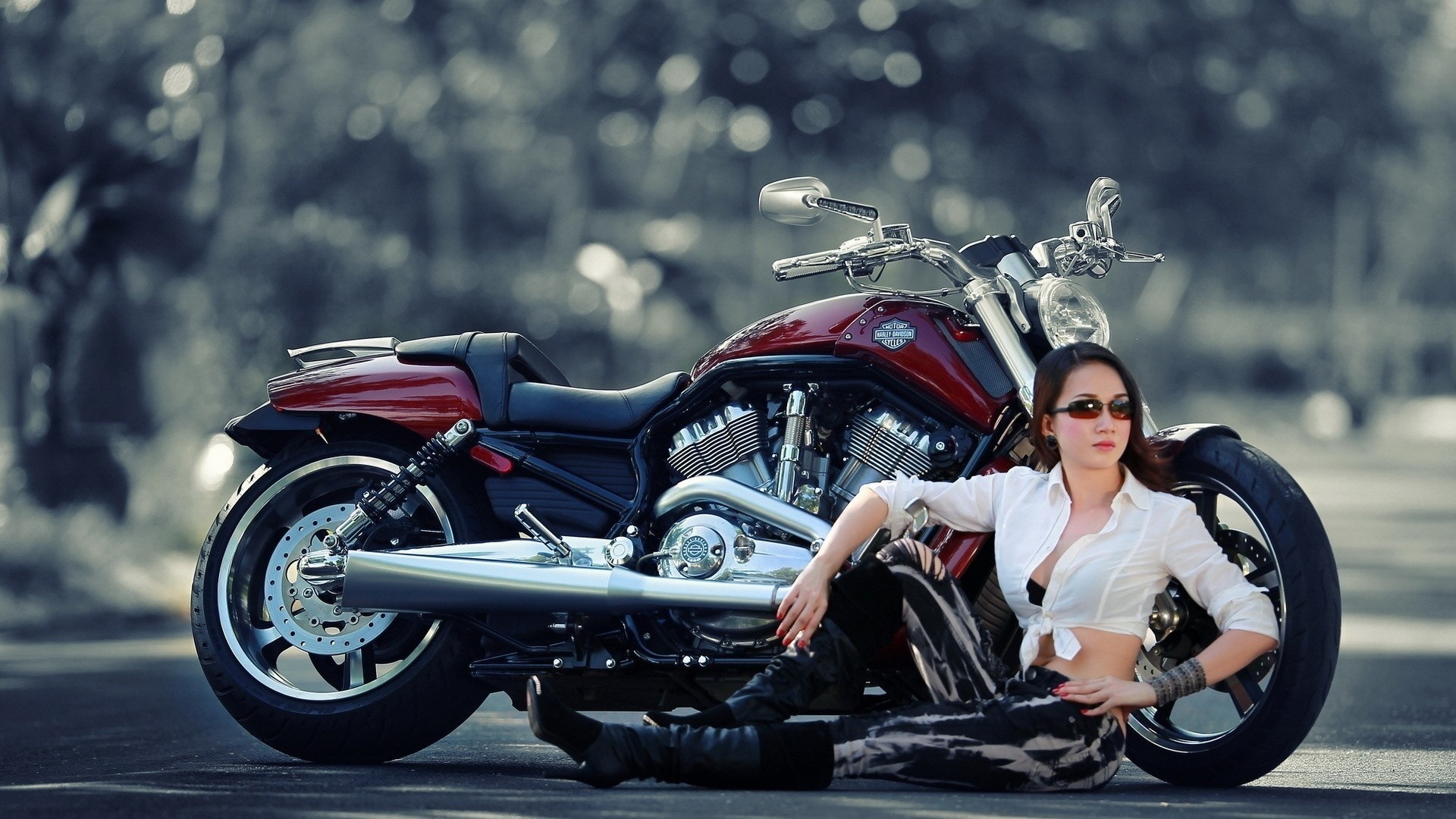 , , harley-devidson, harley-davidson, h-d, v-rod, ,   