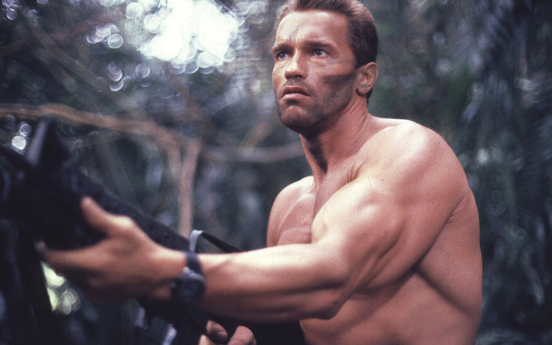 predator, , arnold schwarzenegger, ,  