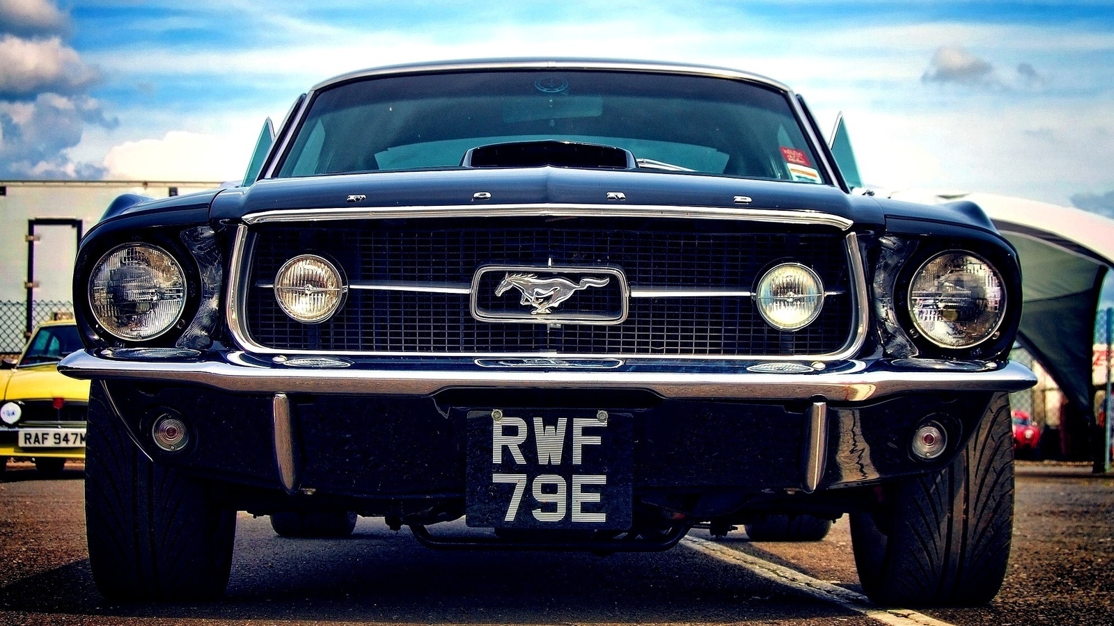 ford, mustang, , rwf, 79e