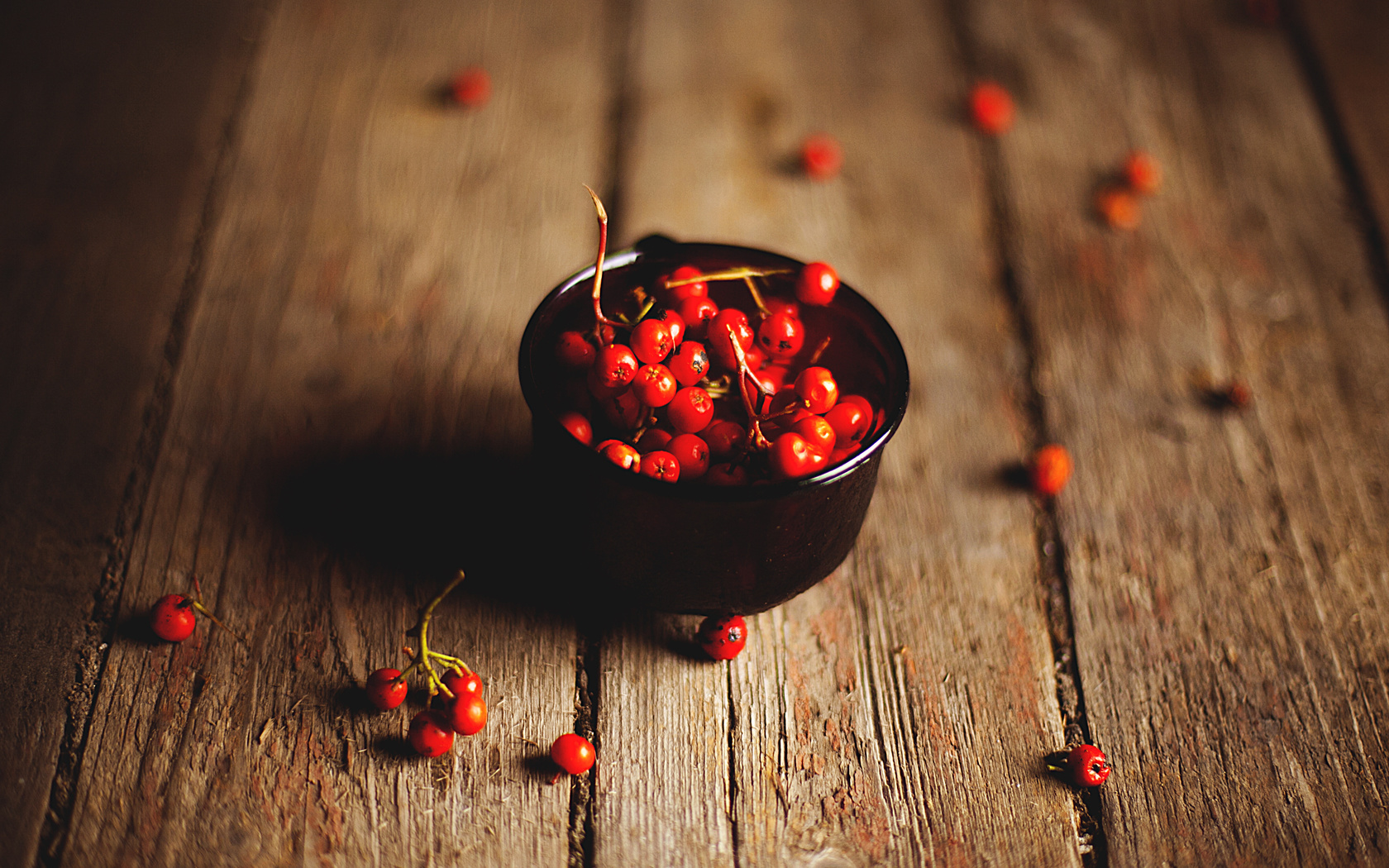 , rowanberry, , 