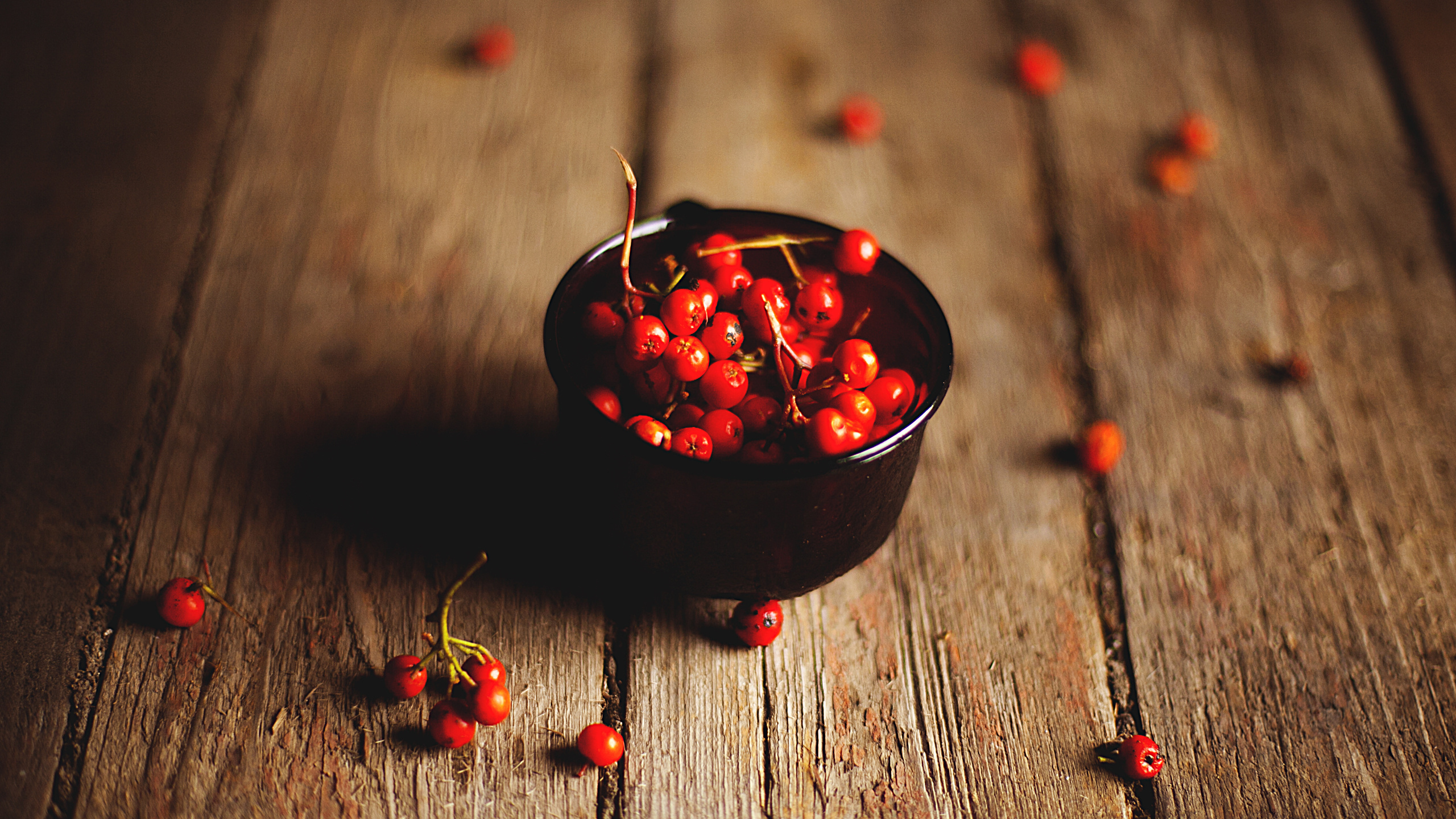 , rowanberry, , 