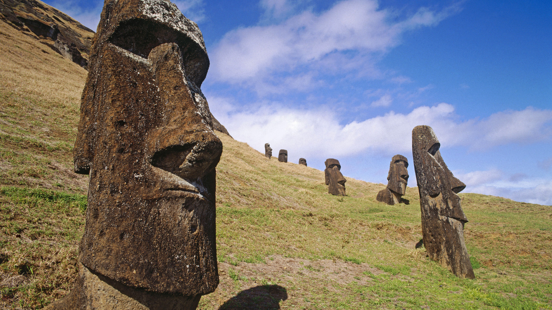 moais at rano raraku quarry, easter island, chile, ,, 