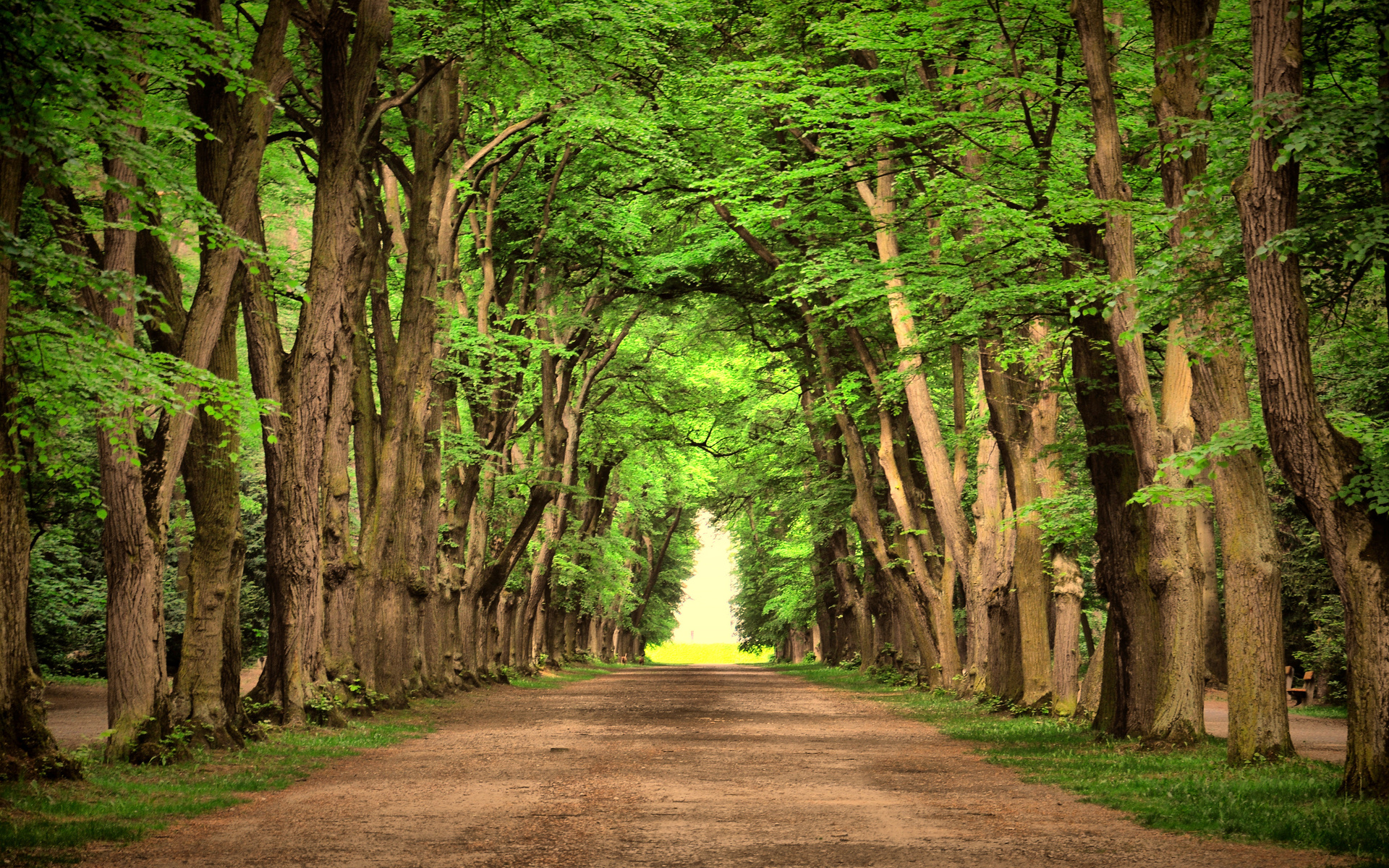 road, green, trees, beautiful, landscape, nature, , , , , , 