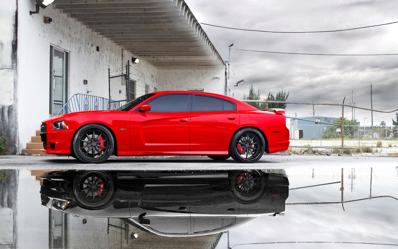 srt8, Dodge, , , 8, red, miami, charger, puddle, , reflection, http://www.nastol.com.ua/auto/28477-miami-puddle-srt8-red-reflection-charger-dodzh-dodge.html