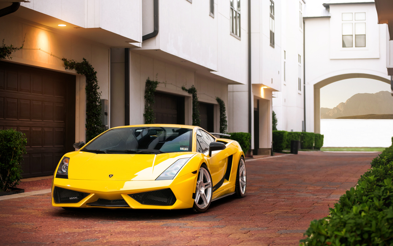 , yellow, gallardo, Lamborghini, , superleggera