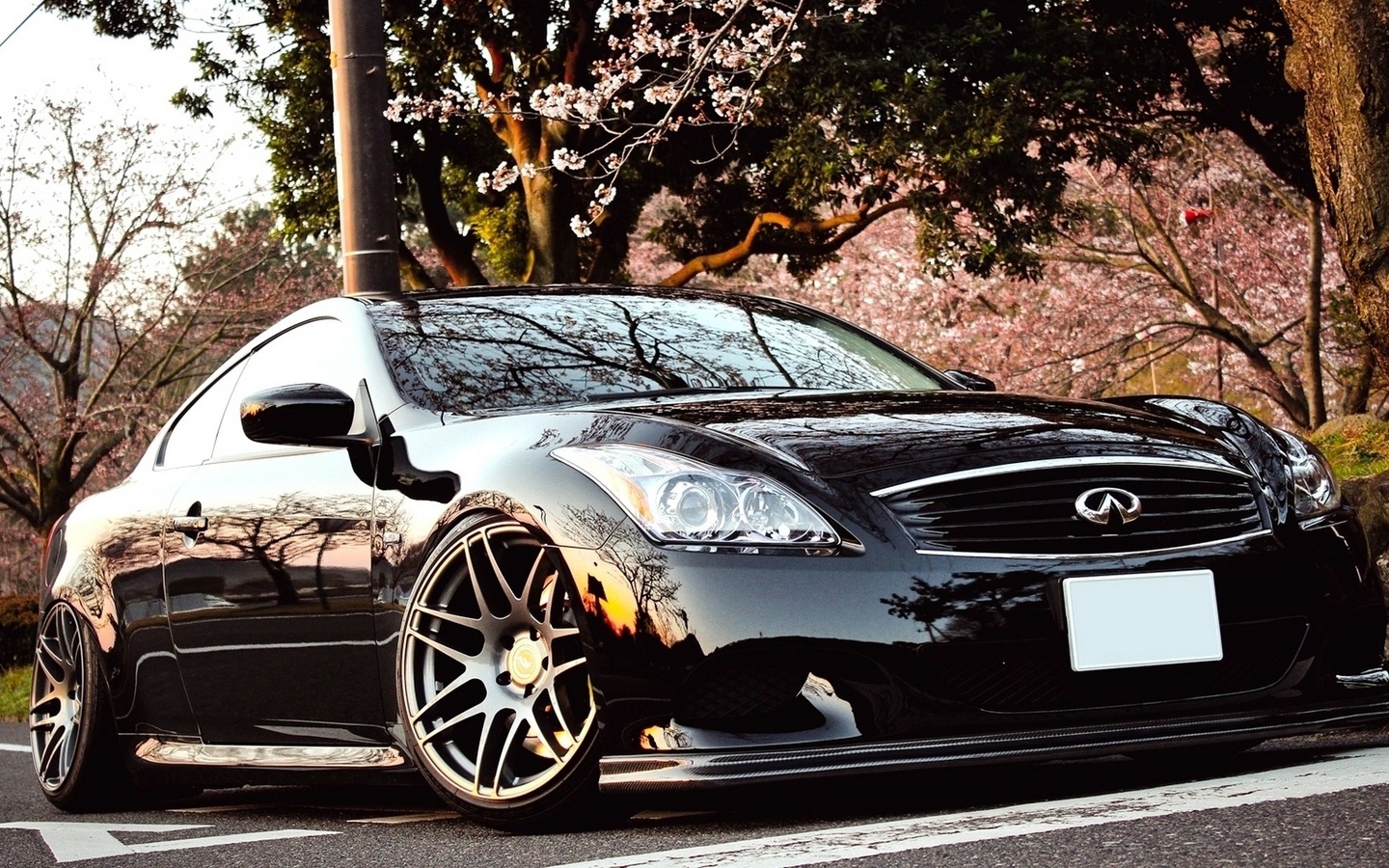 jdm, black, japna, Car, low, beautiful, tuning, stance, automobile, coupe, infiniti g37, wallpapers