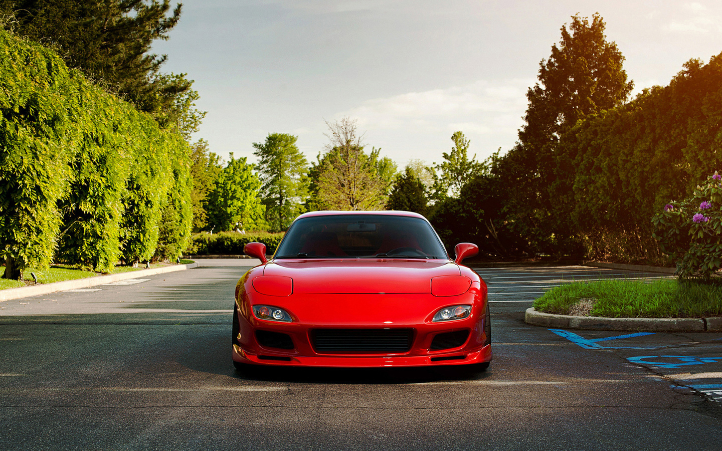 , , rx7, Mazda, garden, , , , mazda, mazda rx7