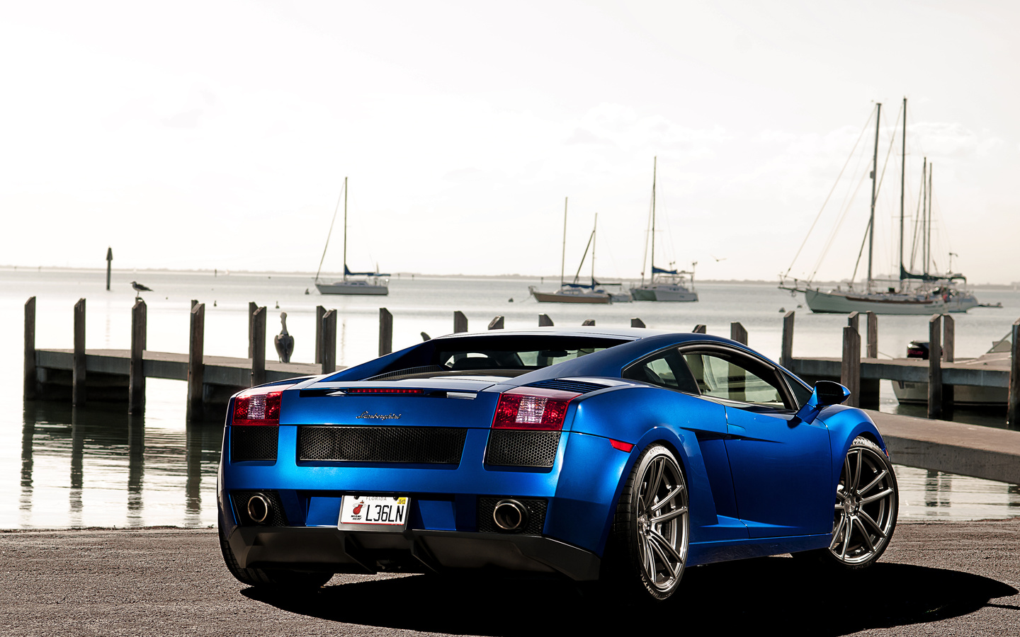 gallardo, , , , Lamborghini, blue