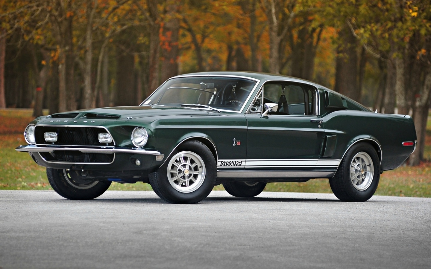 shelby, , Ford, mustang, kr, gt500, , 1968, , , 500