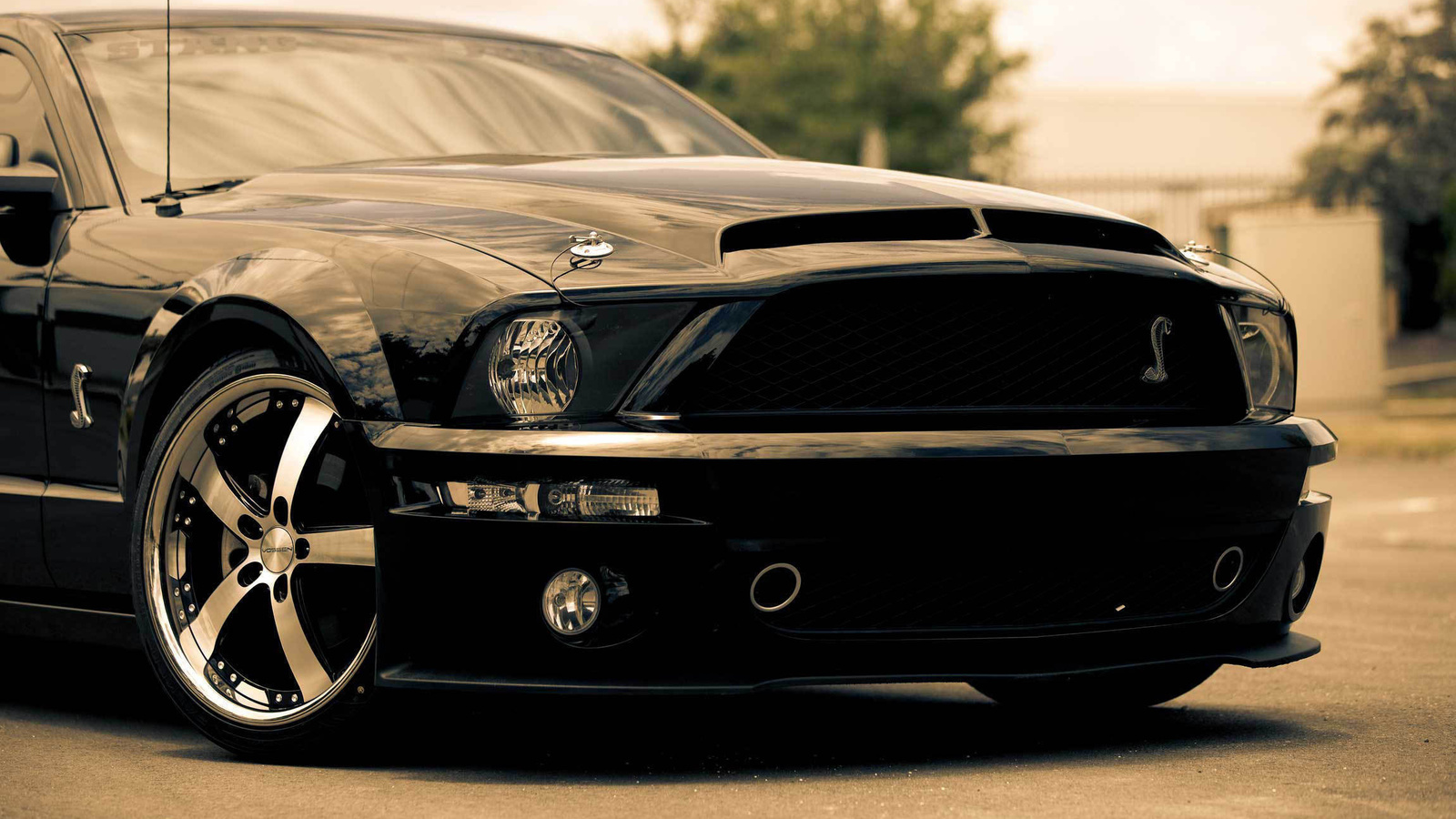 , , , muscle car, mustang, shelby, , gt500, black, Ford