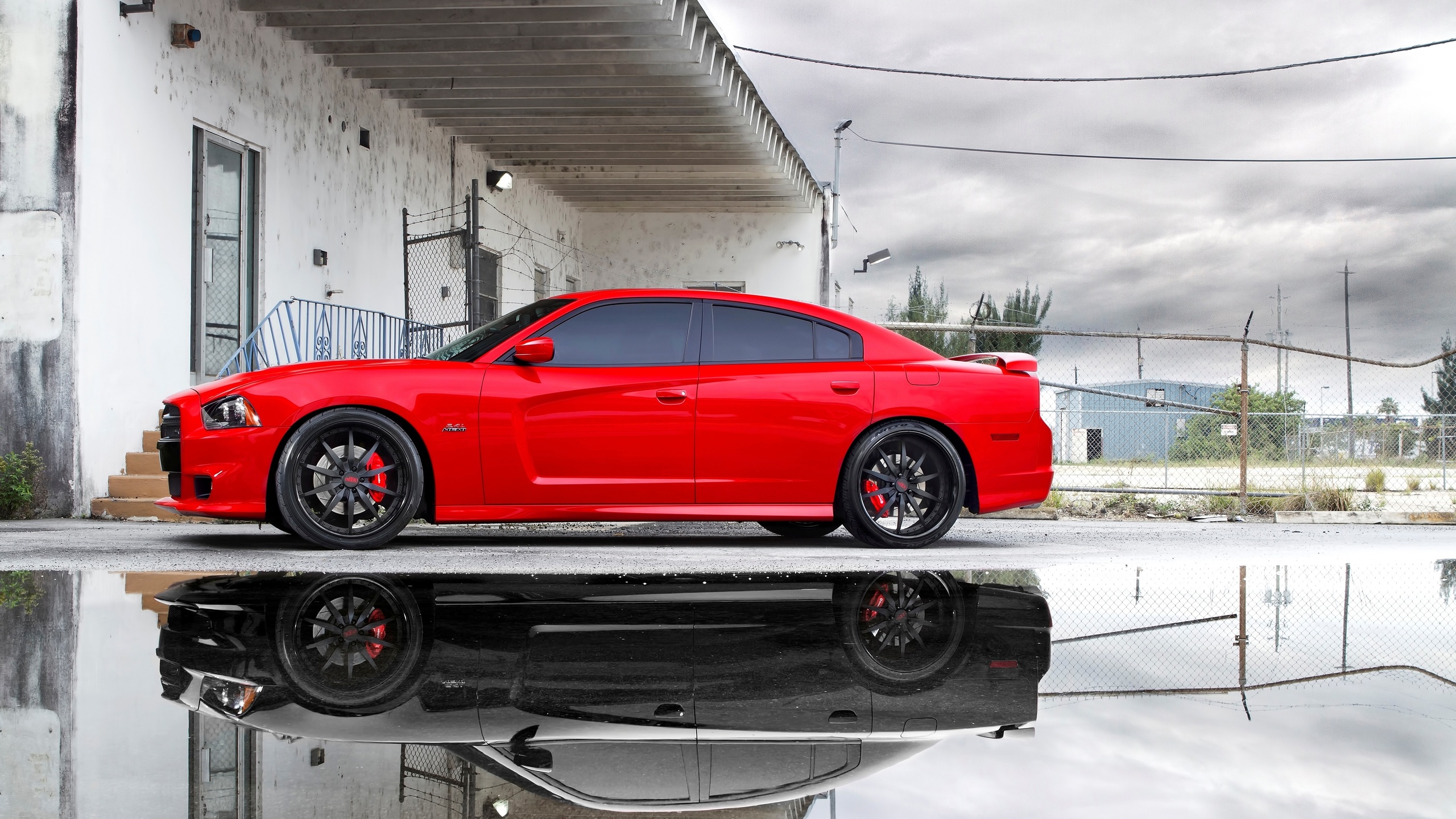 srt8, Dodge, , , 8, red, miami, charger, puddle, , reflection, http://www.nastol.com.ua/auto/28477-miami-puddle-srt8-red-reflection-charger-dodzh-dodge.html