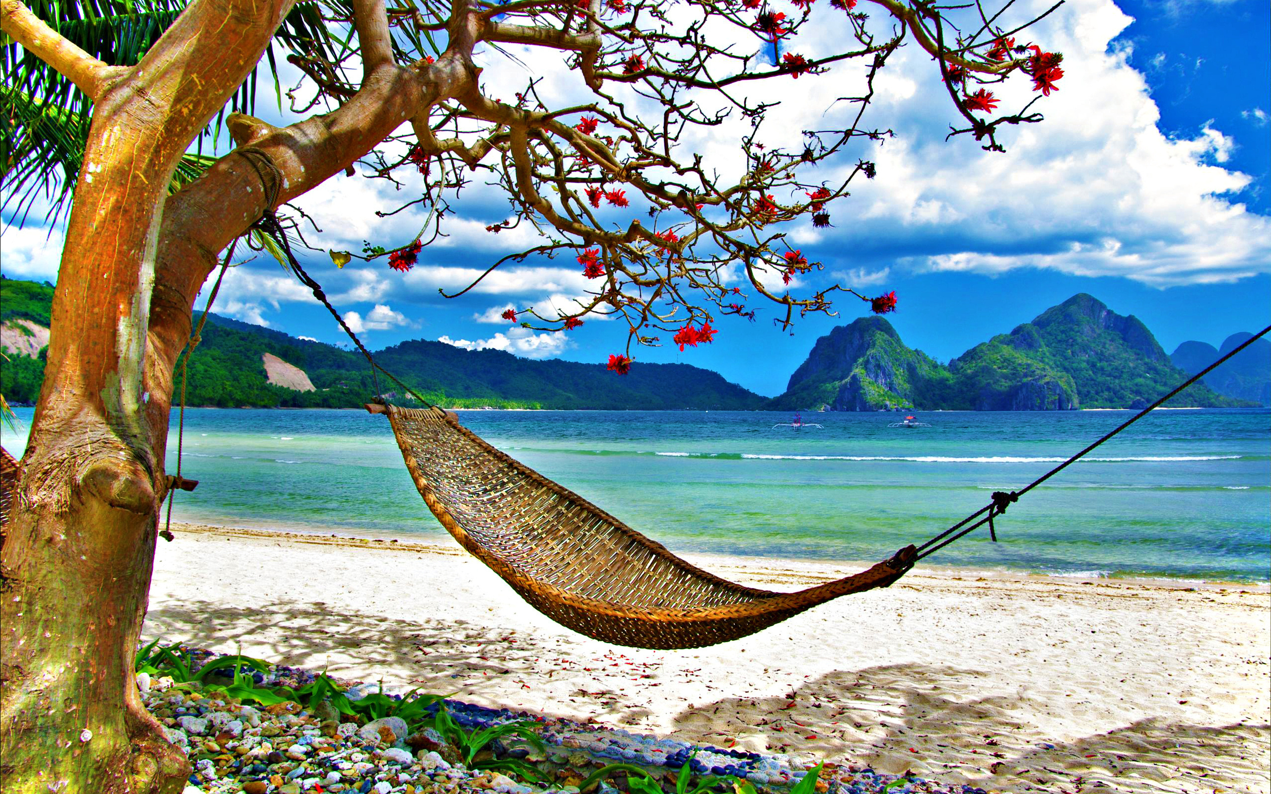 summer, grass, Exotic, clouds, landscape, sky, nature, hammock, ocean, sea, tropical, beach