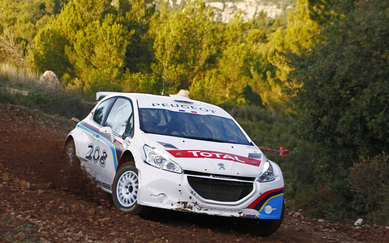 , , Peugeot 208 type r5