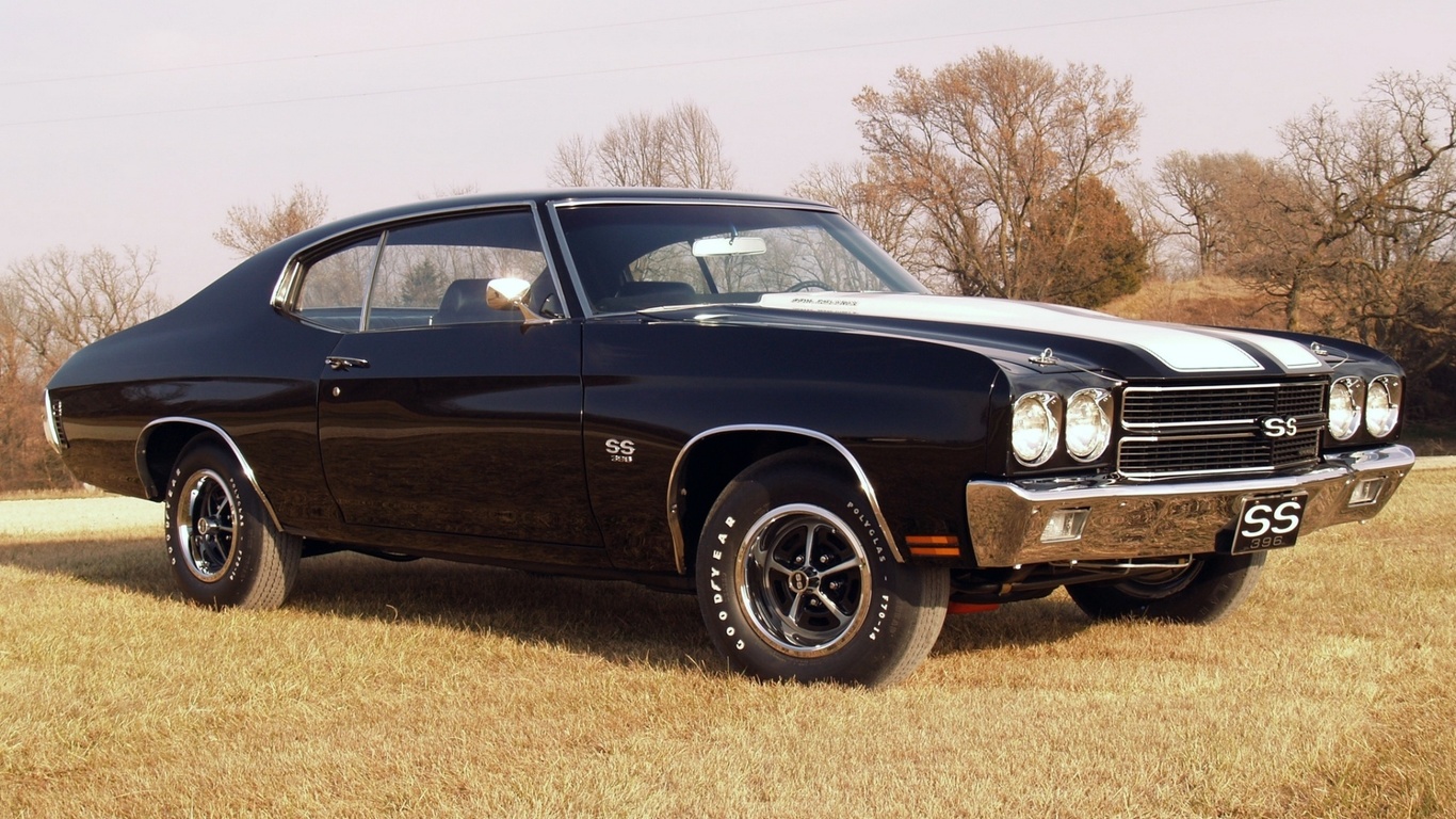 hardtop, Chevrolet, , 1970, 396, , chevelle, coupe, ss, 