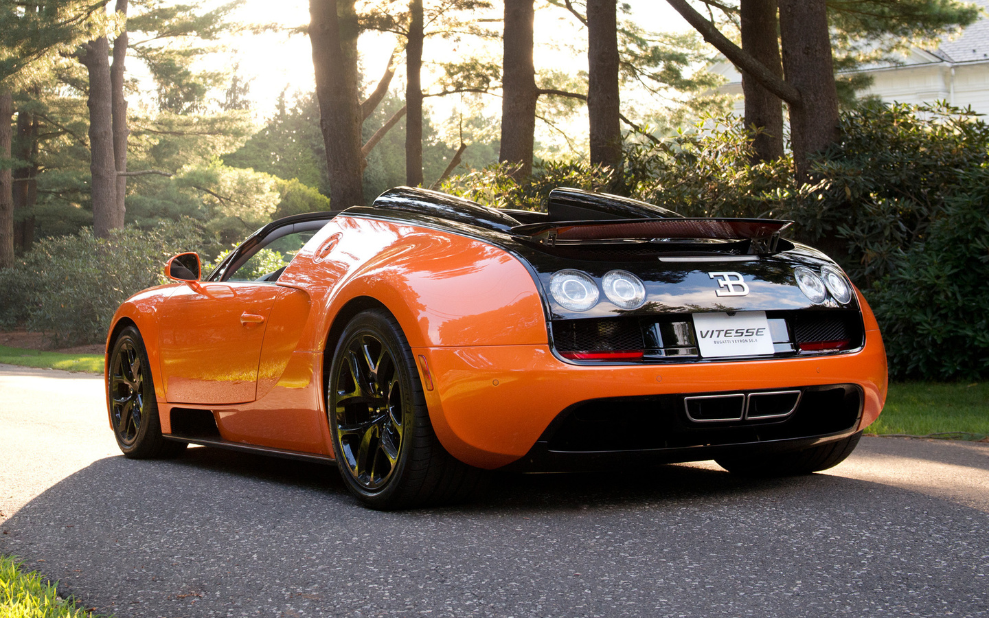 bugatti veyron,  , , , , vitesse