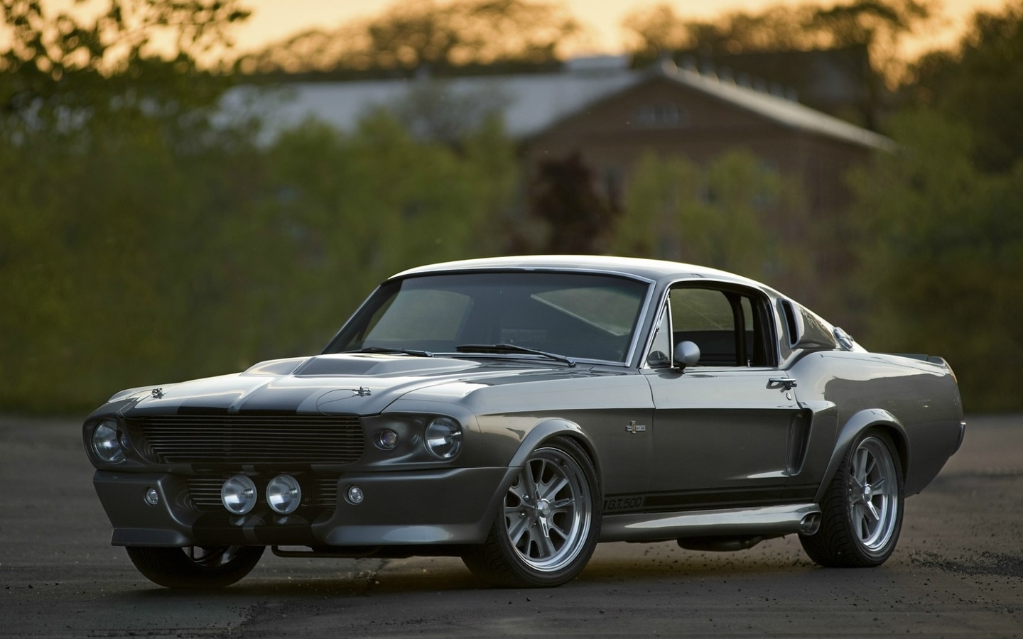 eleanor, gt 500, , Ford shelby