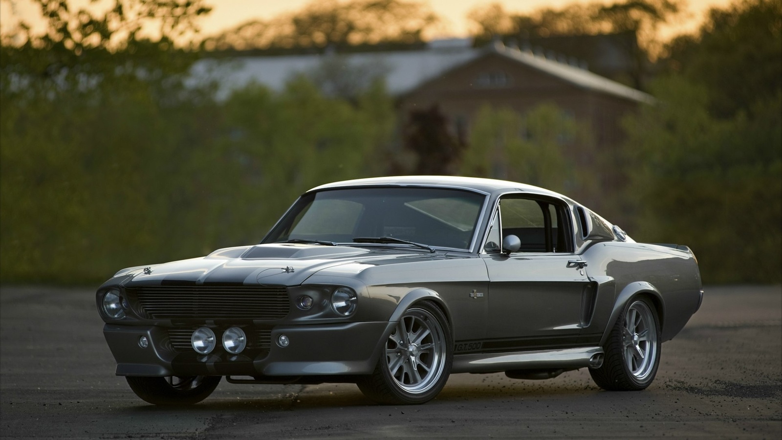 eleanor, gt 500, , Ford shelby