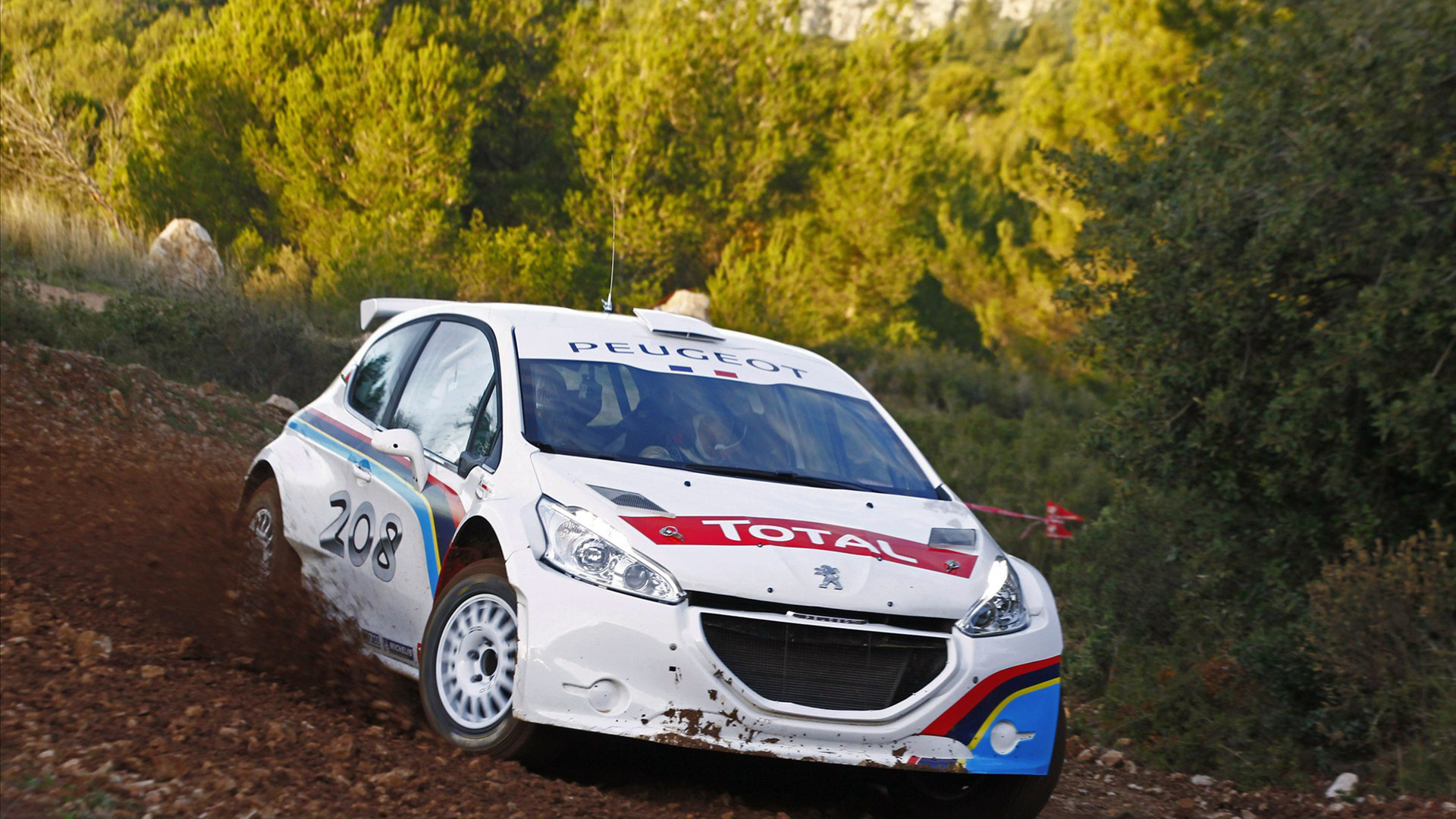 , , Peugeot 208 type r5