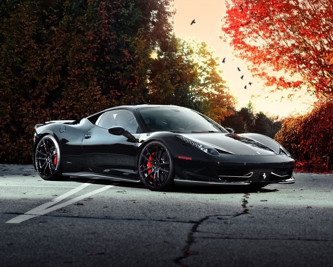 ferrari, 458 italia, black, autumn, trees, sky, birds, , , , , , , 