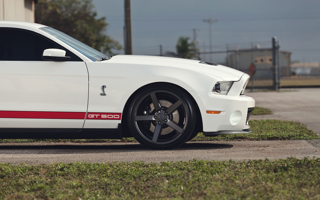 gt500, shelby, , , muscle car, ,  , mustang, Ford