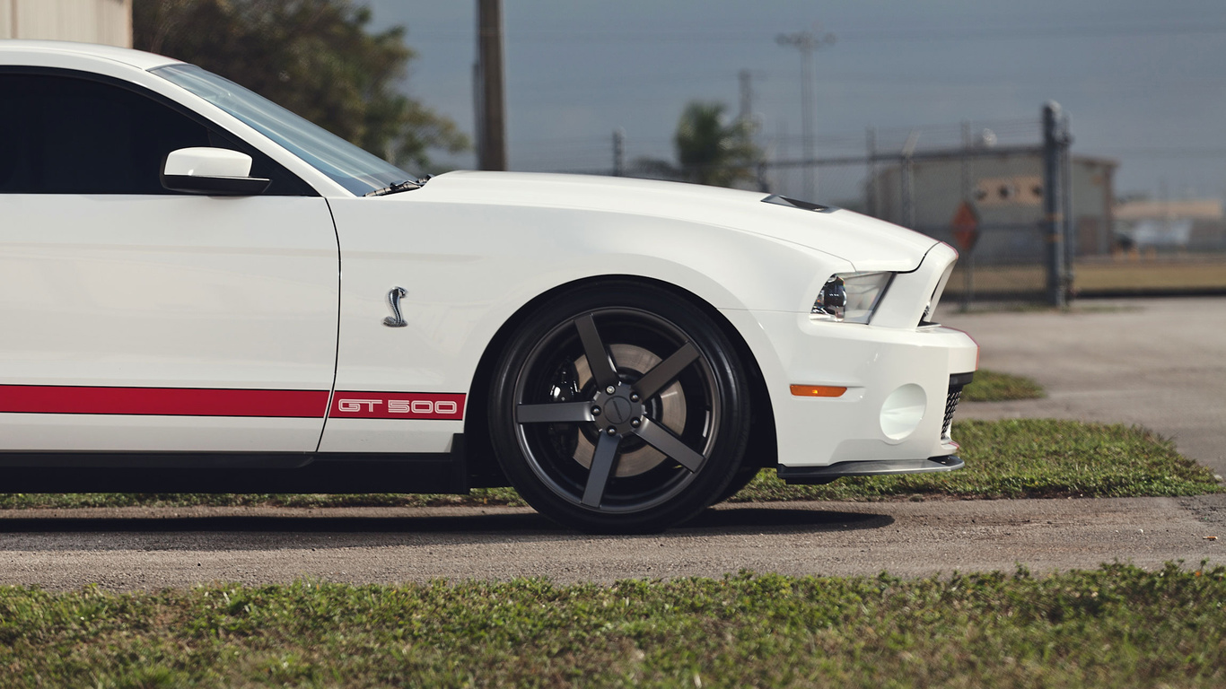 gt500, shelby, , , muscle car, ,  , mustang, Ford