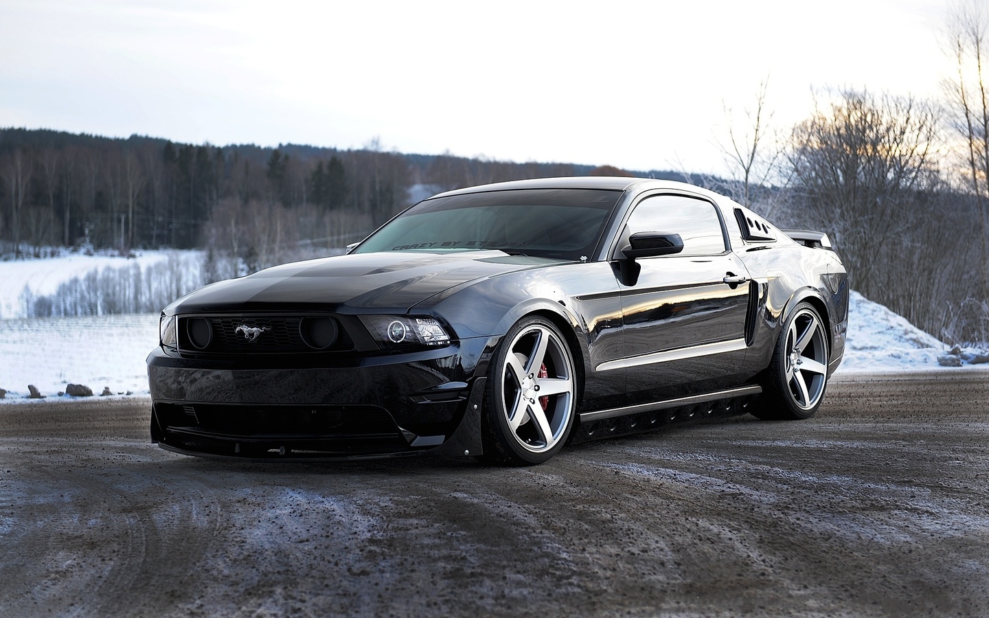 , Ford, , , , black, mustang, , gt500