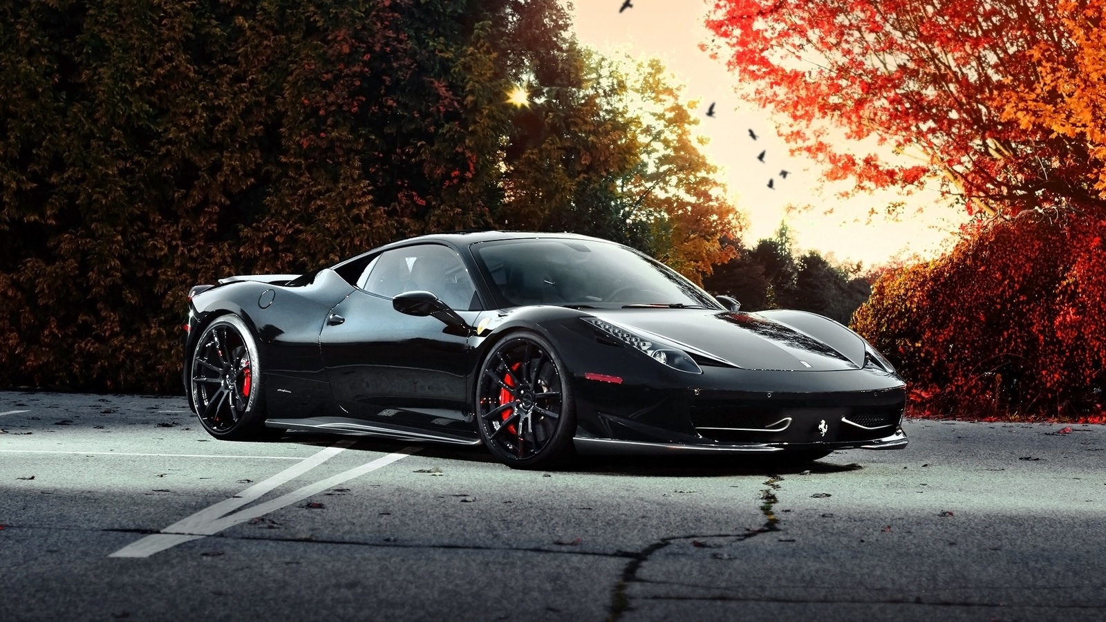 ferrari, 458 italia, black, autumn, trees, sky, birds, , , , , , , 