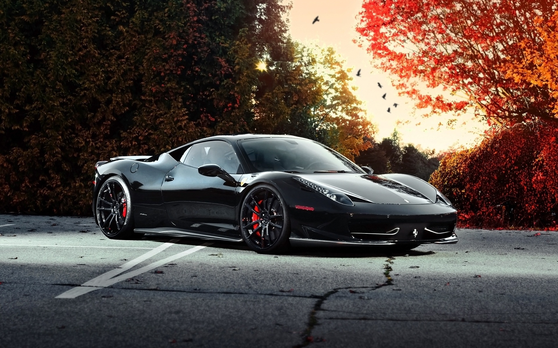 ferrari, 458 italia, black, autumn, trees, sky, birds, , , , , , , 