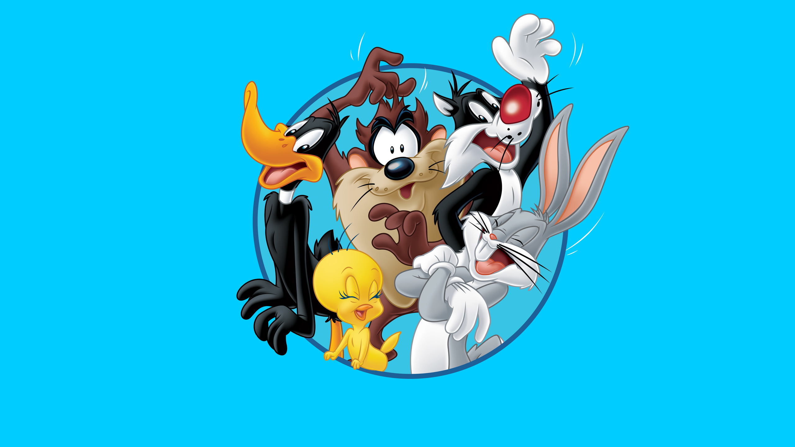 Looney tunes,  , ,  ,  