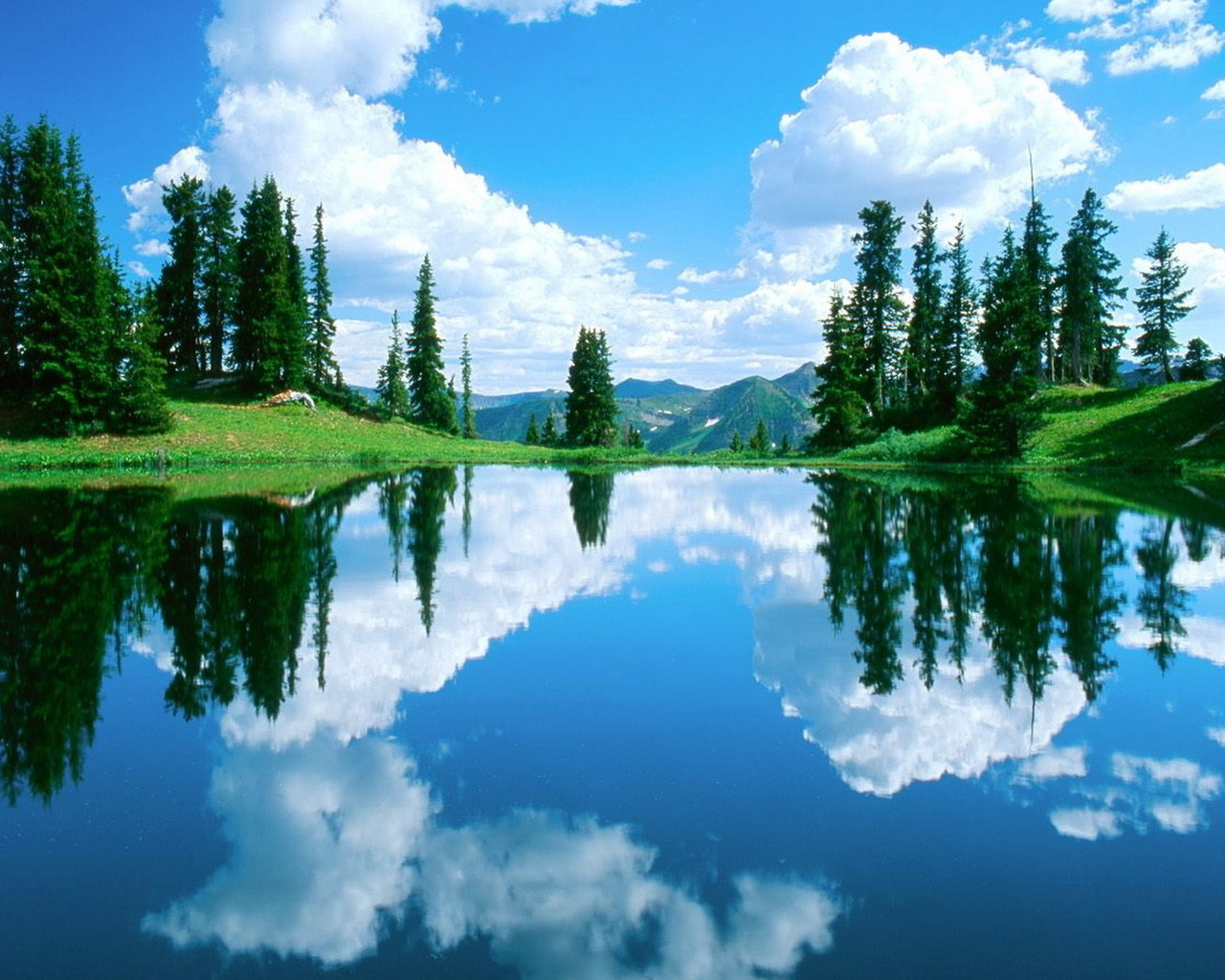 water, lake, green, trees, 