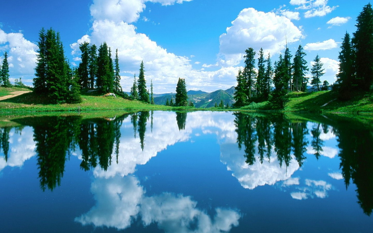 water, lake, green, trees, 