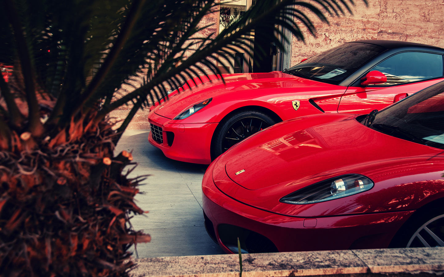 ferrari, 599, gto, f430, red, palm, , 