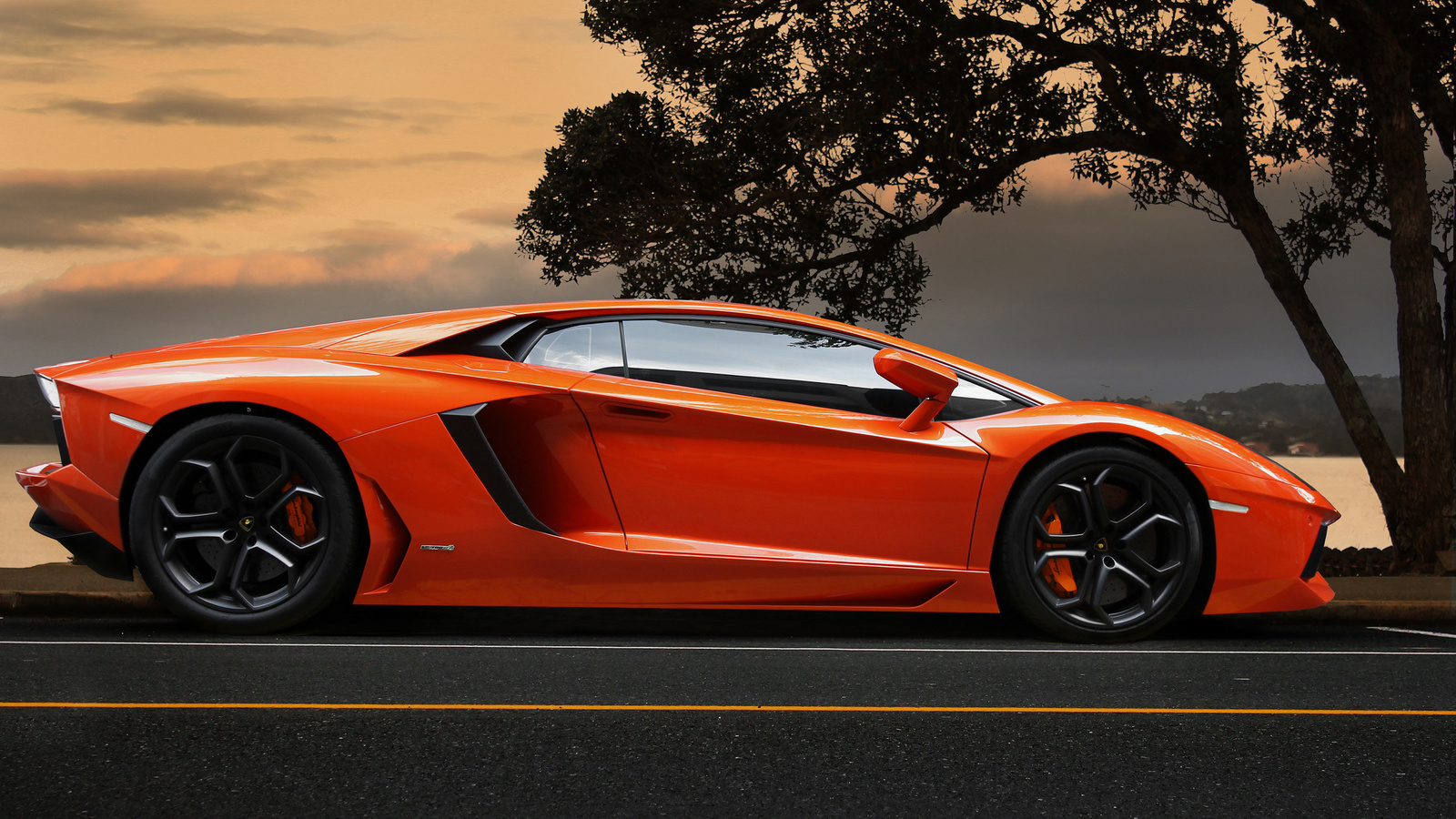 lamborghini, aventador, lp700-4, orange, supercar, tree, sky, , , , , , 