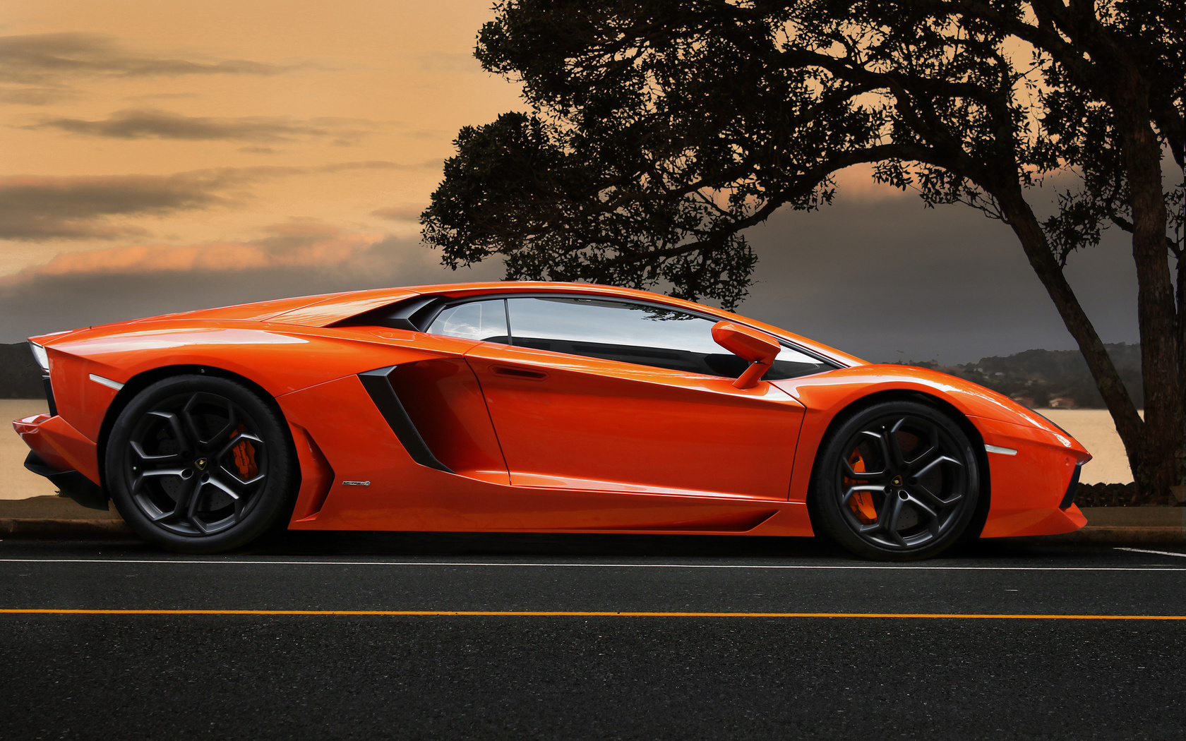 lamborghini, aventador, lp700-4, orange, supercar, tree, sky, , , , , , 