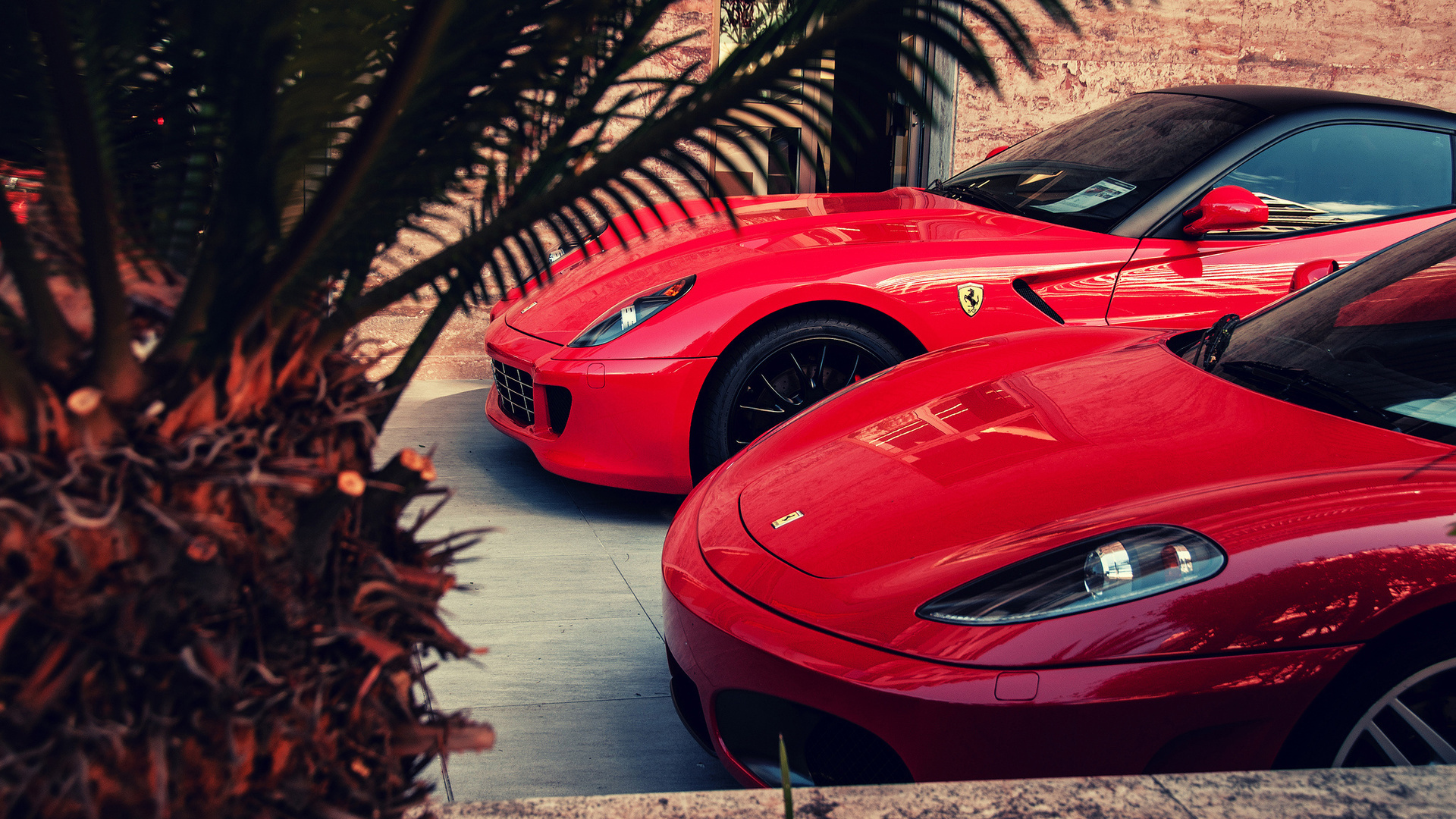 ferrari, 599, gto, f430, red, palm, , 