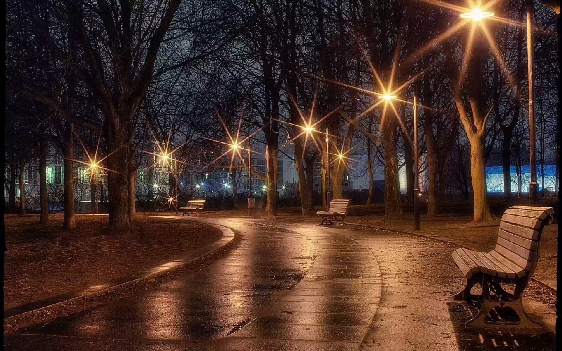 фонарь в парке фото