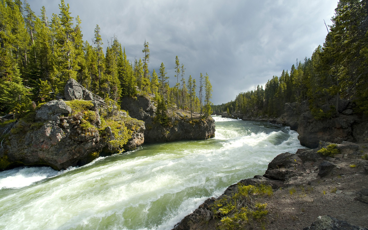 forest, river, clouds