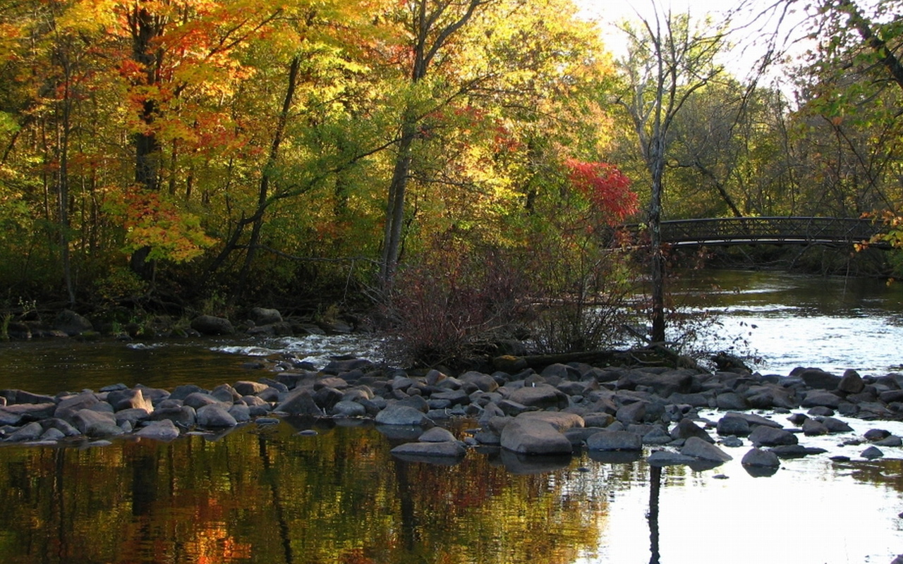 rocks, water, forest, bridge