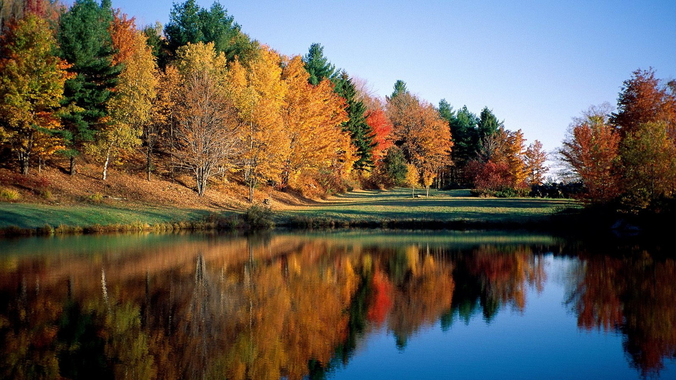 lake, forest, colors, , 